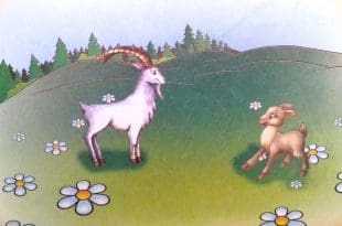 keçi balası