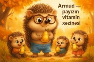 Armut çocuklar için