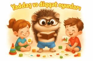 Beyni məşq etdirmək